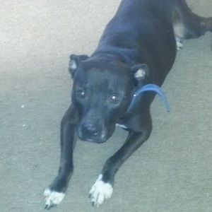 Meet your Posher, Nene